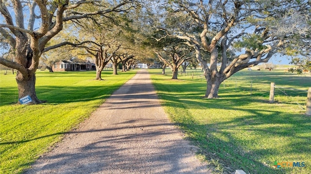 view of home's community with a yard