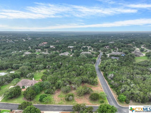10402 Rinder Farm Ct, New Braunfels, TX 78132 - photo 5
