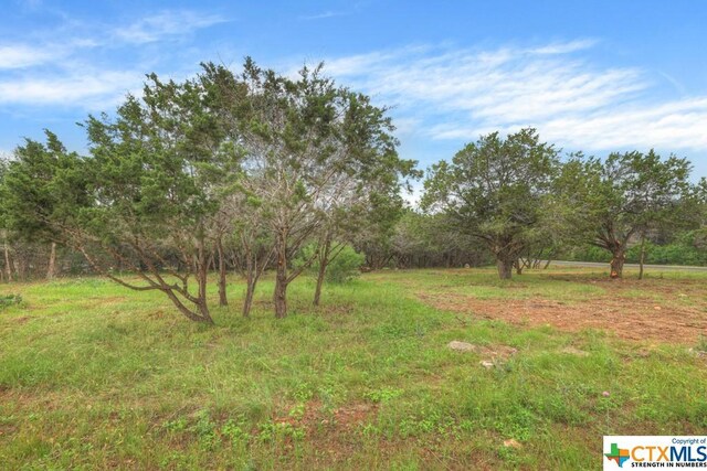 10402 Rinder Farm Ct, New Braunfels, TX 78132 - photo 8