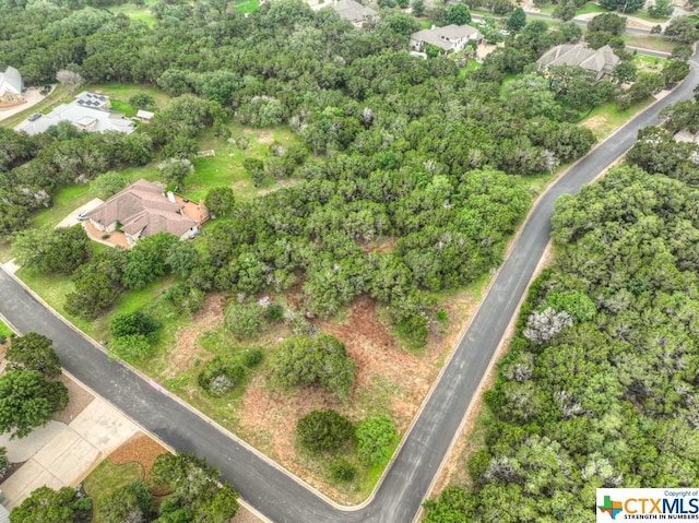 10402 Rinder Farm Ct, New Braunfels, TX 78132 - photo 3