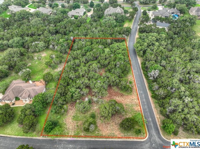 10402 Rinder Farm Ct, New Braunfels, TX 78132 - photo 2