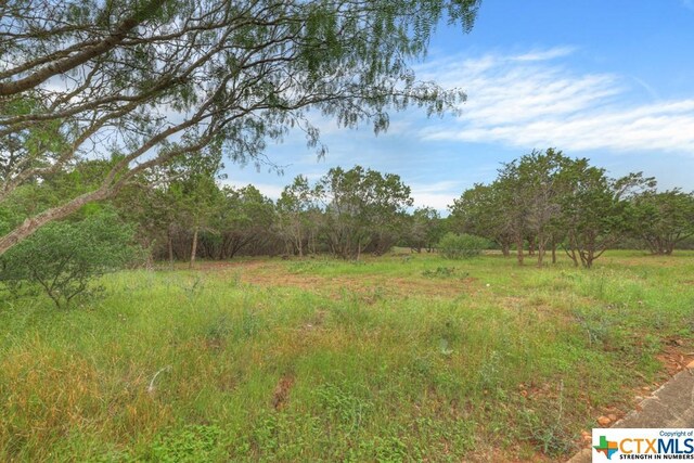 10402 Rinder Farm Ct, New Braunfels, TX 78132 - photo 7
