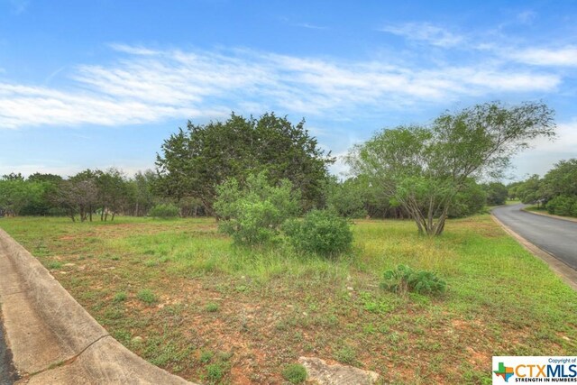 10402 Rinder Farm Ct, New Braunfels, TX 78132 - photo 10