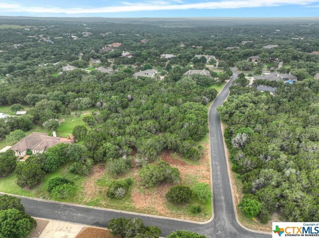 10402 Rinder Farm Ct, New Braunfels, TX 78132 - photo 13