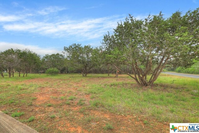 10402 Rinder Farm Ct, New Braunfels, TX 78132 - photo 9