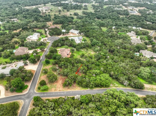 10402 Rinder Farm Ct, New Braunfels, TX 78132 - photo 4
