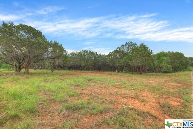 10402 Rinder Farm Ct, New Braunfels, TX 78132 - photo 11