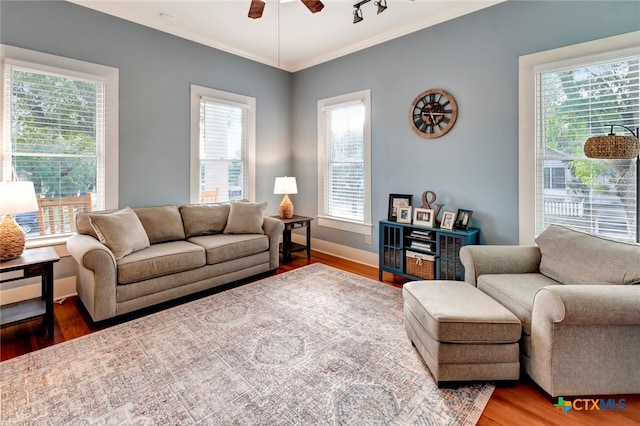 living room with crown molding, hardwood / wood-style flooring, ceiling fan, and plenty of natural light