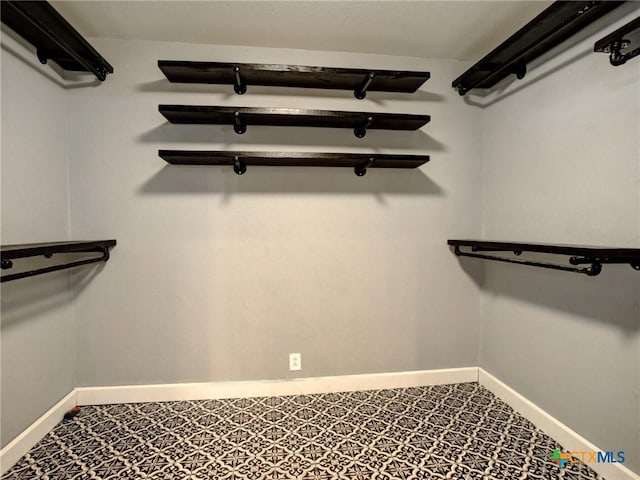 view of walk in closet