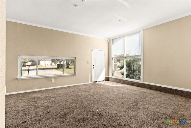 carpeted spare room with plenty of natural light, ornamental molding, and baseboards