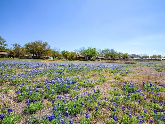 601 Lakewood Dr, Burnet, TX 78611 - view of yard
