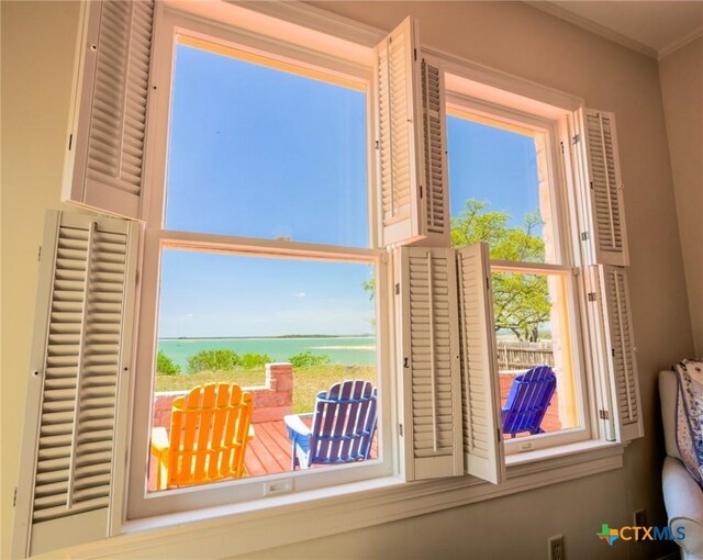 601 Lakewood Dr, Burnet, TX 78611 - details with ornamental molding and a water view