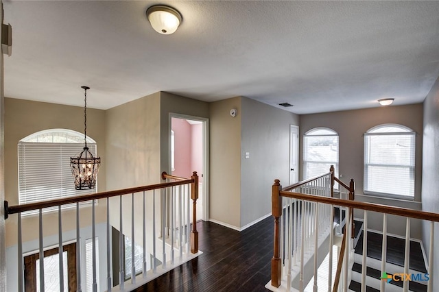 hall featuring a wealth of natural light, dark hardwood / wood-style flooring, and a notable chandelier