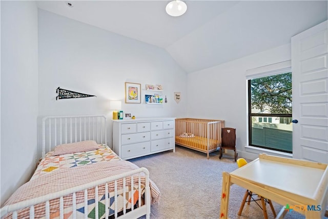 385 Althea, New Braunfels, TX 78132 - carpeted bedroom with vaulted ceiling