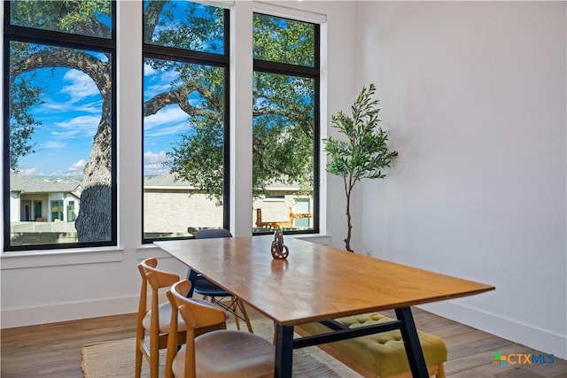 385 Althea, New Braunfels, TX 78132 - dining room with baseboards and wood finished floors