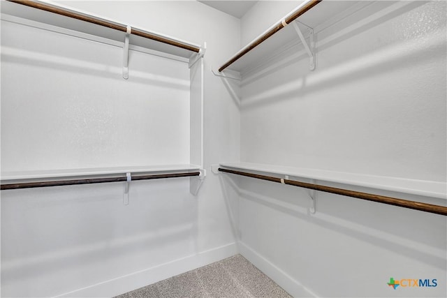 walk in closet featuring carpet floors