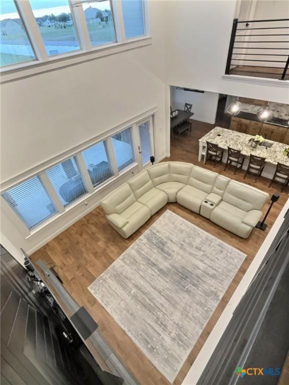 living room featuring hardwood / wood-style floors