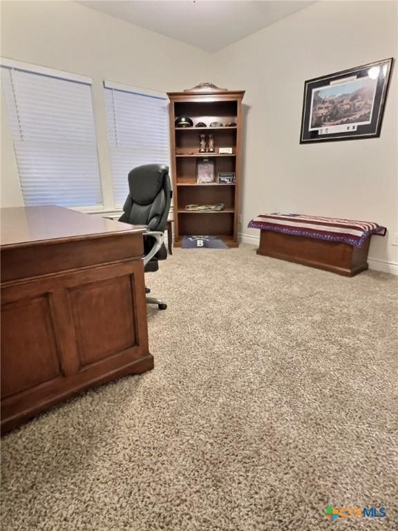 office space with carpet