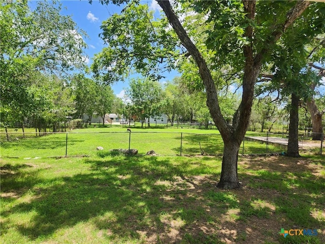 325 Montgomery St, Yoakum, TX 77995 - view of yard