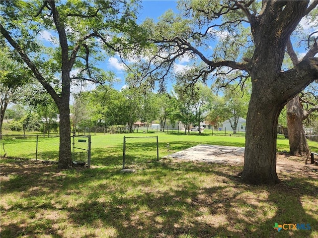 325 Montgomery St, Yoakum, TX 77995 - view of yard