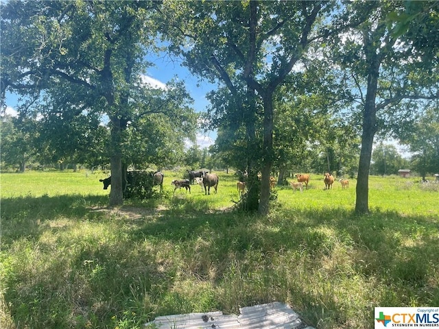 1130 Blacksmith Ln, Weimar, TX 78962
