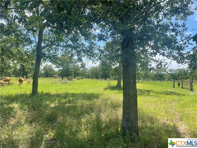 1130 Blacksmith Ln, Weimar, TX 78962
