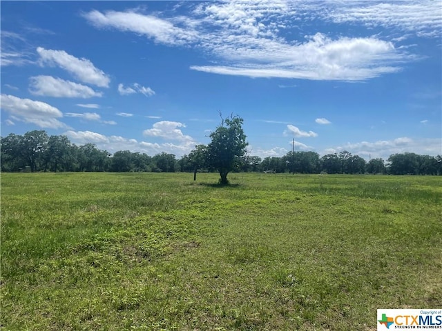 1130 Blacksmith Ln, Weimar, TX 78962