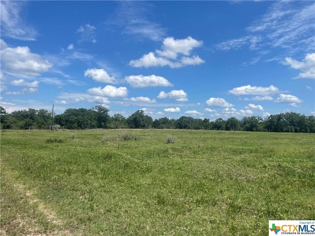 1130 Blacksmith Ln, Weimar, TX 78962