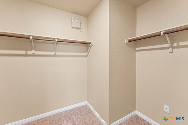 walk in closet featuring carpet floors