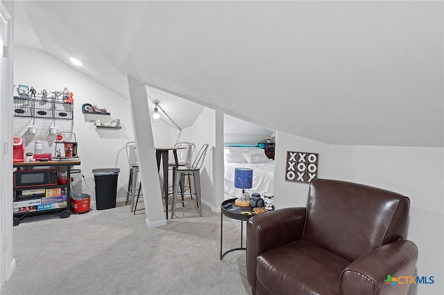 804 Blue Oak Blvd, San Marcos, TX 78666 - living area with lofted ceiling, carpet flooring, and baseboards