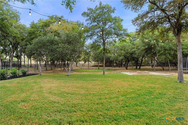 view of community with a yard