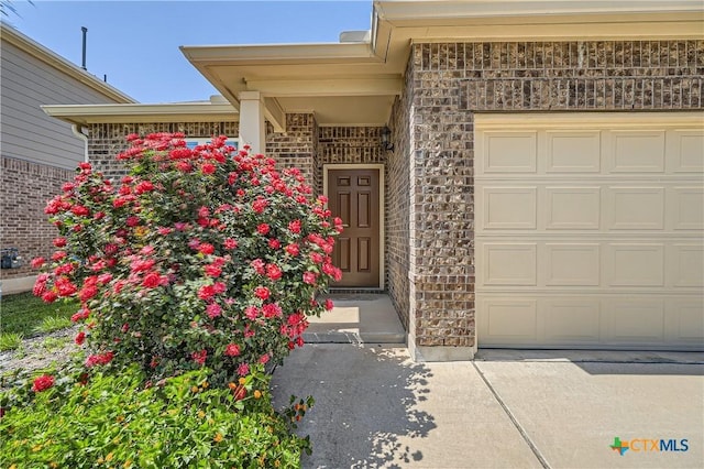 184 Palm Dr, Buda, TX 78610 - photo 14