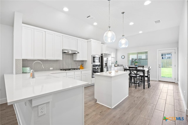 532 Elm Green St, Hutto, TX 78634 - kitchen featuring stainless steel appliances, under cabinet range hood, light wood-type flooring, light countertops, and backsplash