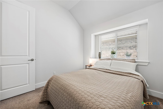 532 Elm Green St, Hutto, TX 78634 - bedroom with carpet flooring and lofted ceiling