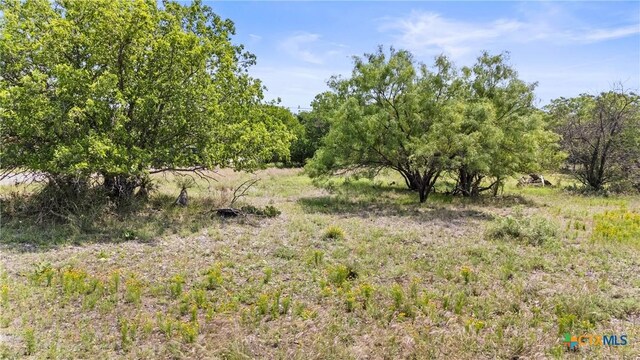 908 Elkhorn Dr, Kingsland, TX 78639