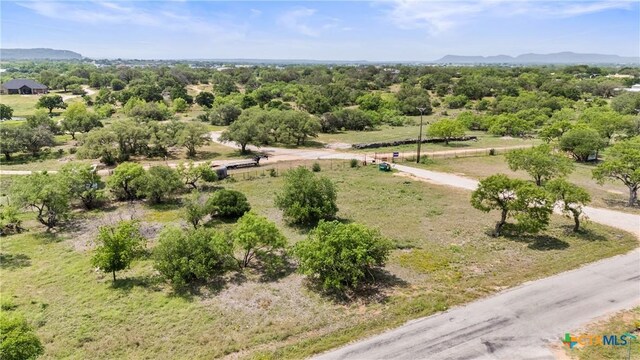 908 Elkhorn Dr, Kingsland, TX 78639
