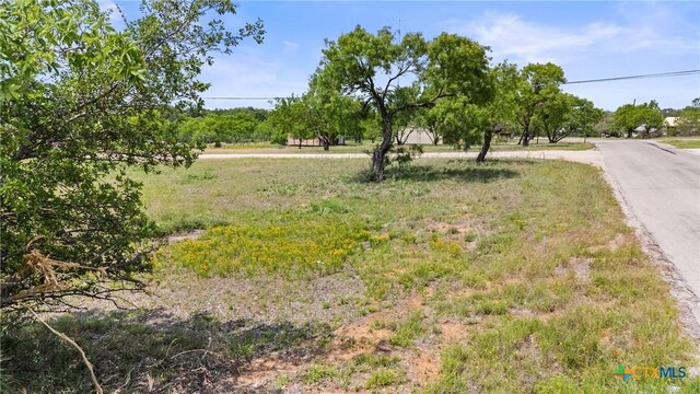 908 Elkhorn Dr, Kingsland, TX 78639
