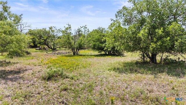 908 Elkhorn Dr, Kingsland, TX 78639