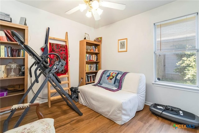 2039 Cornerstone Dr, New Braunfels, TX 78130 - exercise room with ceiling fan, healthy amount of natural light, and wood finished floors