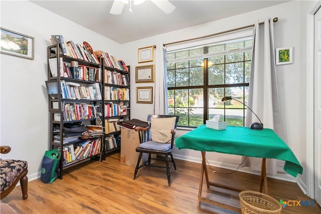 2039 Cornerstone Dr, New Braunfels, TX 78130 - living area featuring ceiling fan and wood finished floors