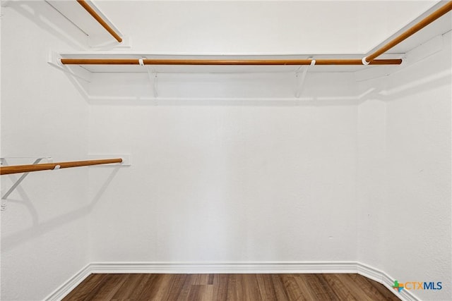 809 Filly Ln, Temple, TX 76504 - spacious closet with dark wood-style flooring