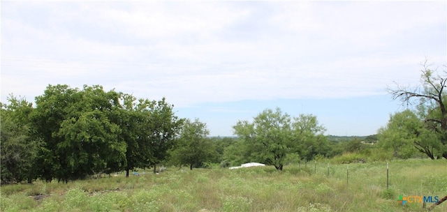 194 County Road 3430, Lampasas, TX 76550 - photo 40