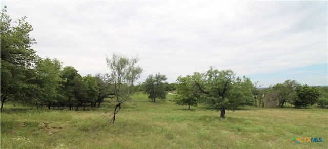 194 County Road 3430, Lampasas, TX 76550 - photo 48