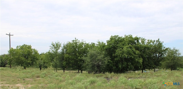 194 County Road 3430, Lampasas, TX 76550 - photo 39