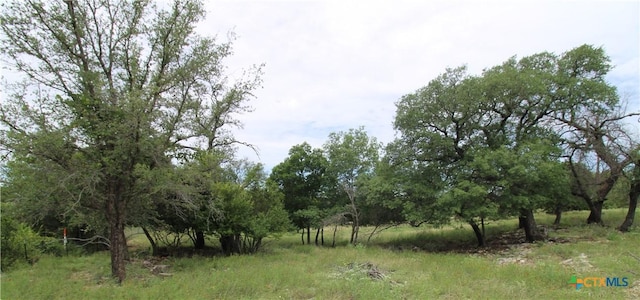 194 County Road 3430, Lampasas, TX 76550 - photo 44