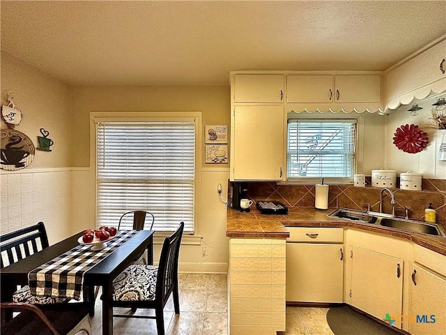 kitchen with a textured ceiling, decorative backsplash, and a sink