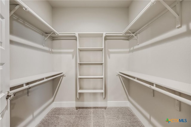 walk in closet with carpet floors