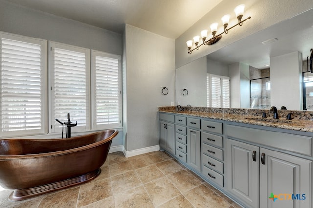 bathroom featuring vanity, a healthy amount of sunlight, and a bath