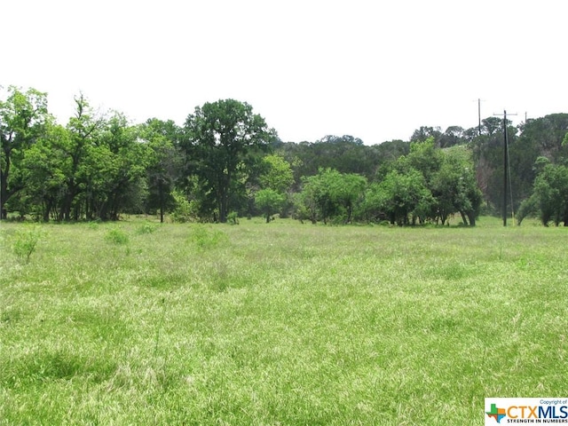 LOT54 Buffalo Creek Dr, Evant, TX 76525 - photo 13