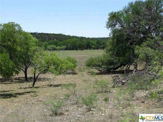 LOT54 Buffalo Creek Dr, Evant, TX 76525 - photo 6